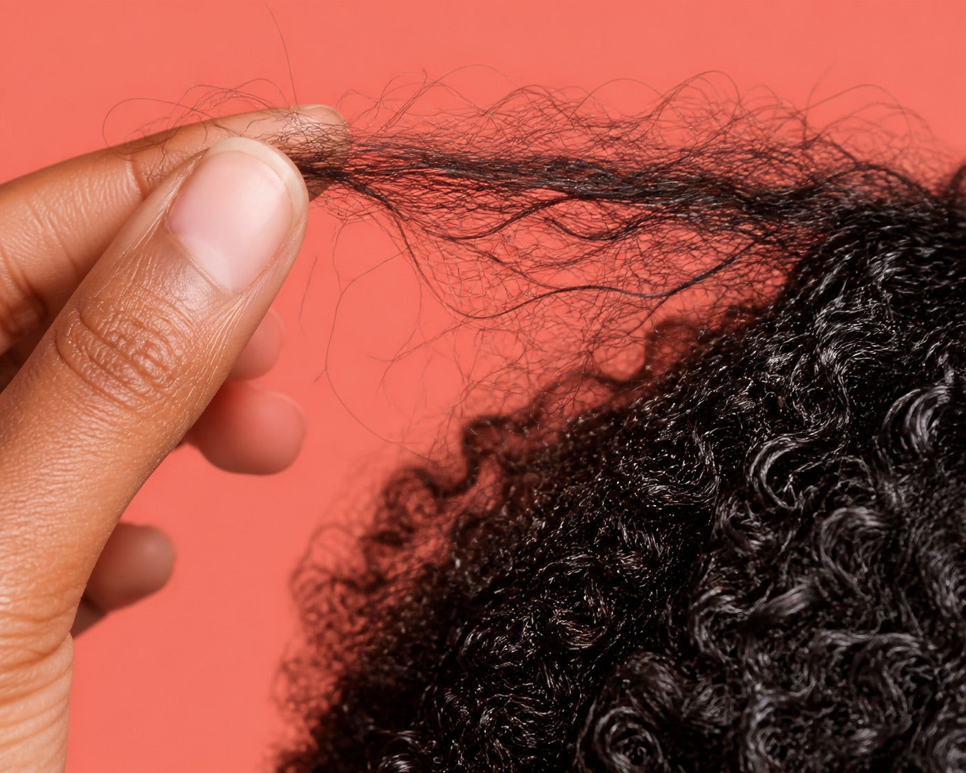 Close view of breakage in coily hair